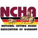 Deutcher Meisterschaft & Futurity & HP-Shows no.6 + no.7, Thierhaupten, Germany