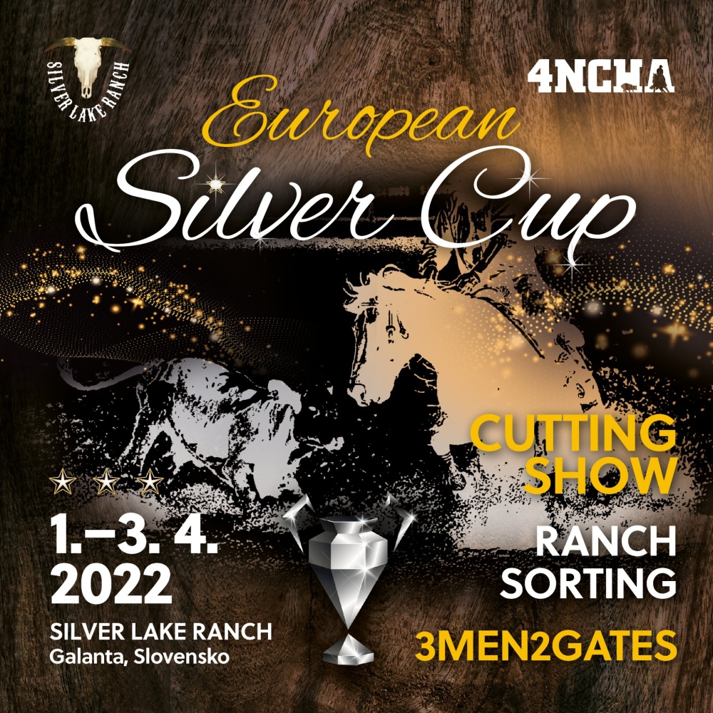 European Silver Cup