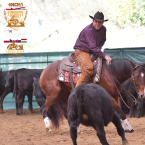 4NCHA Futurity Open Co Champion GF Turbocat...